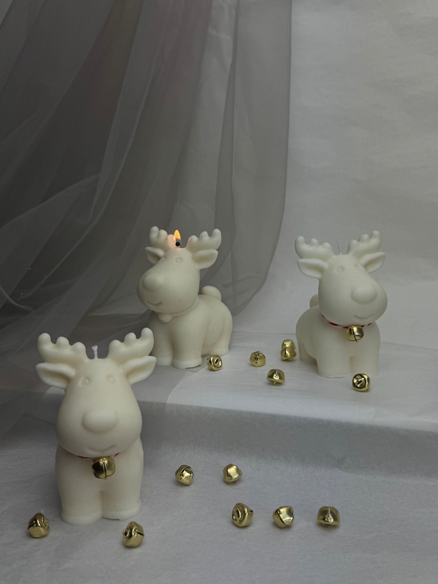 Помічник Санти