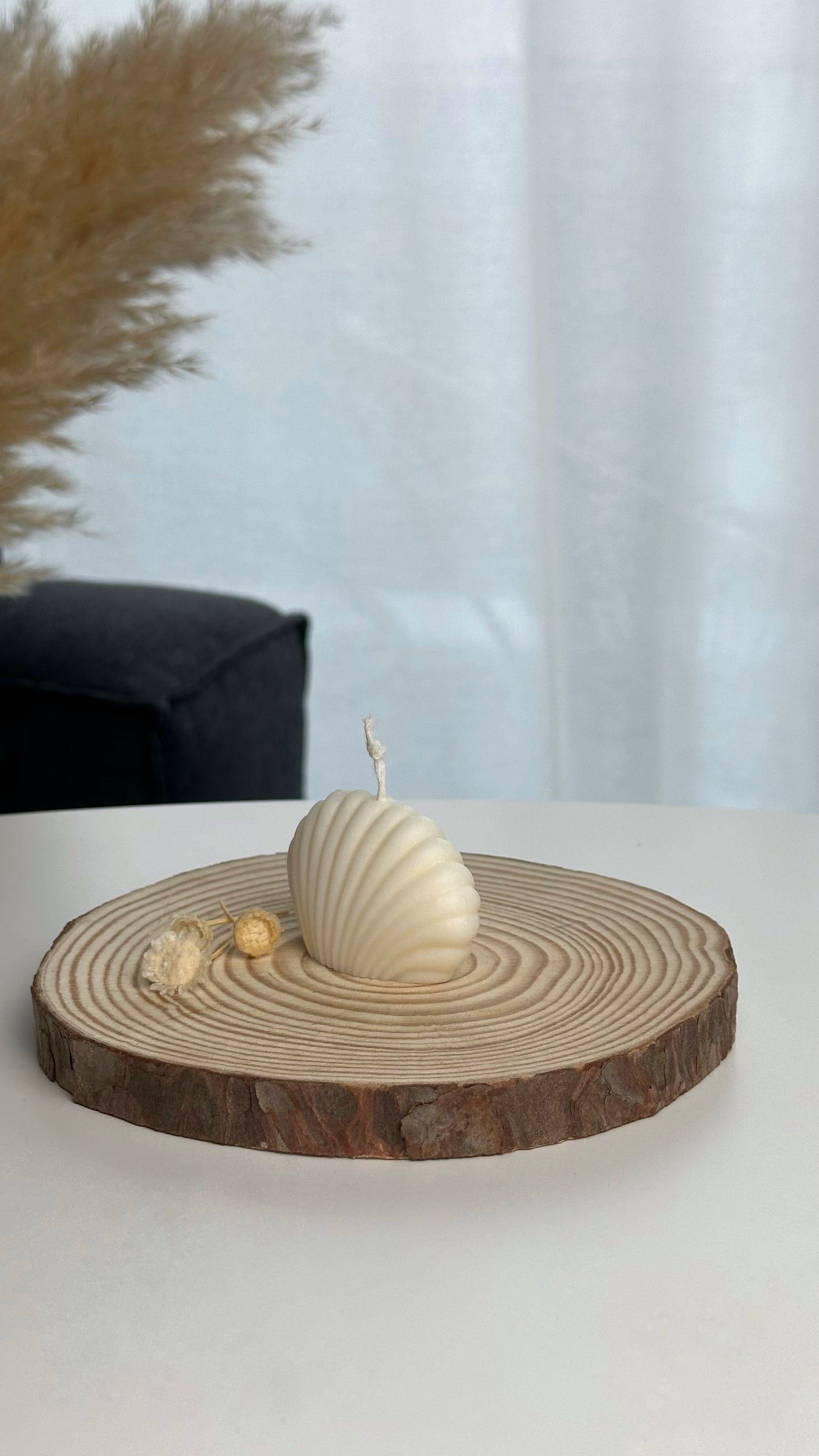 Маленькая ракушка